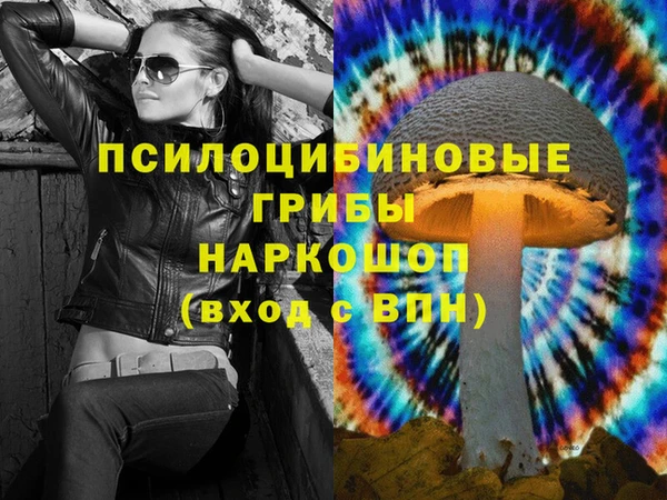 таблы Гусев