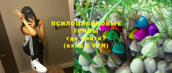 крисы Крымск