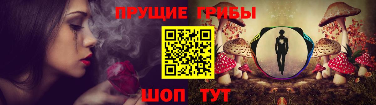 Обь  Псилоцибиновые грибы мицелий  Вход с VPN 